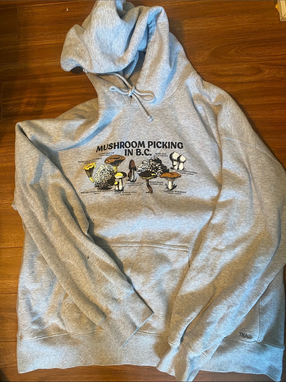 TNA Cozy Fleece Boyfriend Fit Pullover Hoodie